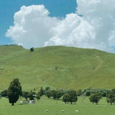 jinnian金年会体育在线入口