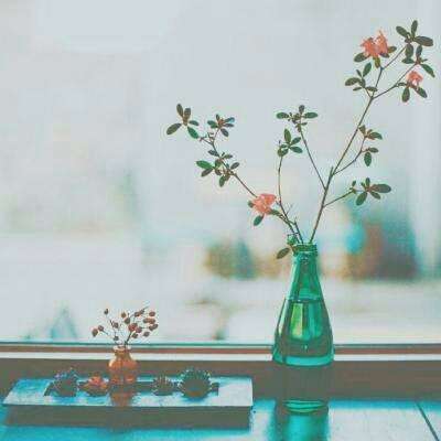 彩神lllv入口手机app下载