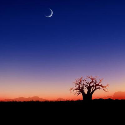 爱游戏·APP手机app下载