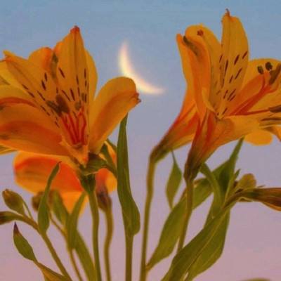 火狐电竞·huohu下载手机版