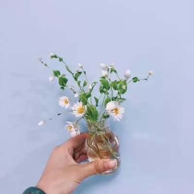 AG官方平台下载地址app下载