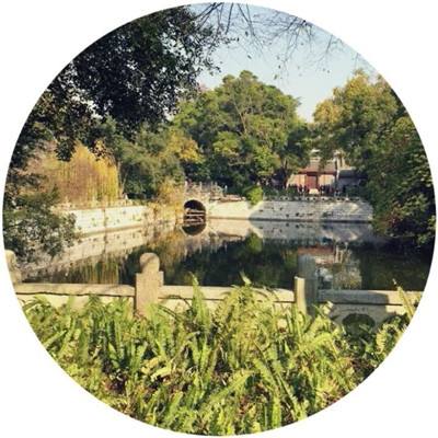 彩神手机app下载