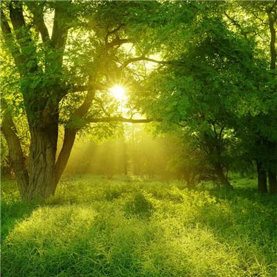 手机买彩票app下载下载手机版